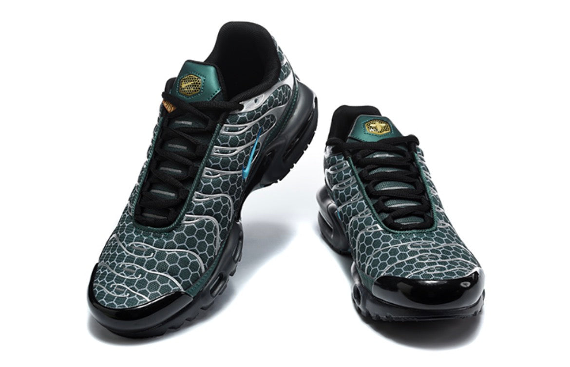 Nike Air Max Plus TN Black Silver Flame